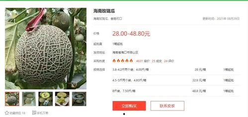 吃瓜娱乐圈文字版小说,瓜田里的秘密风云